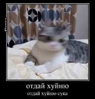 😾 emoji Блядские коты (2) @KomaruFans Telegram sticker 18 of 50