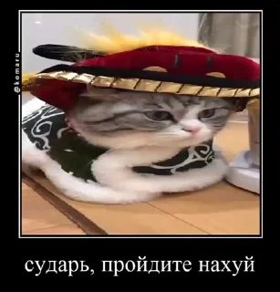 🖕 emoji Блядские коты (2) @KomaruFans Telegram sticker 16 of 50