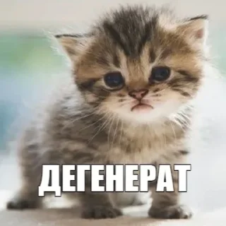 Sticker from Шлюхи