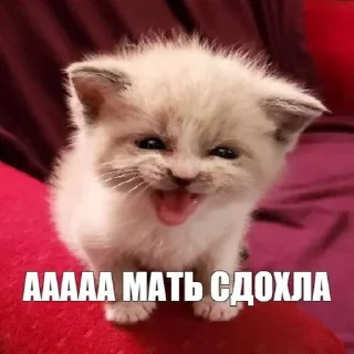 Sticker from Шлюхи