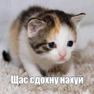 Sticker from Шлюхи