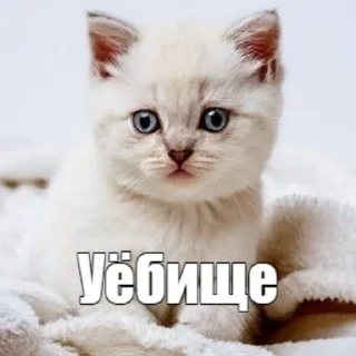Sticker from Шлюхи