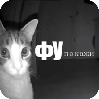 Sticker from Тик ток