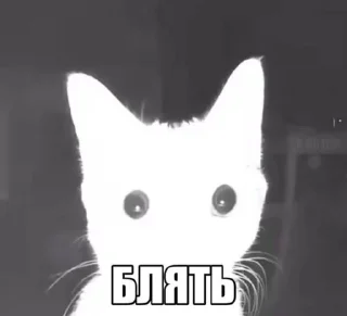 🌟 emoji піпікака Telegram sticker 2 of 106