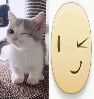 🌟 emoji піпікака Telegram sticker 10 of 106