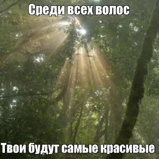 🌟 emoji я люблю тебя @runmebluddd Telegram sticker 24 of 50