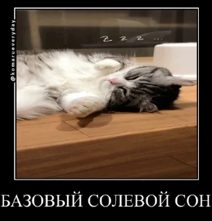 😴 emoji ti zatrahal menu kotom! 2 Telegram sticker 9 of 16