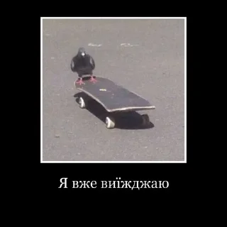 Дурка sticker 2