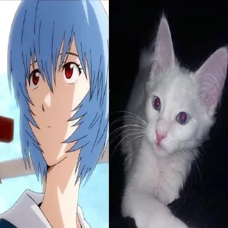 😜 emoji Rei Ayanami @shchobshokuvaty Telegram sticker 23 of 60