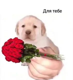 Sticker from Від Максіка