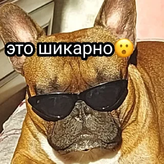 Sticker from Жора