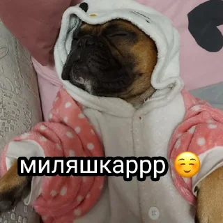Sticker from Жора