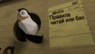 Sticker from Админ стикеры