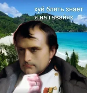 🏝️ emoji and my Napoleon thk 4 my Napol Telegram sticker 18 of 35