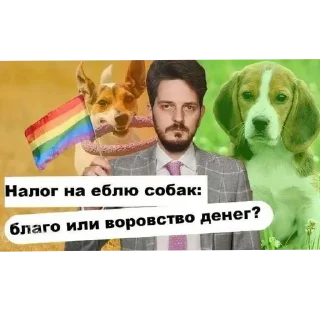 🐶 emoji Девушка к которой все плохо относились: Telegram sticker 11 of 17