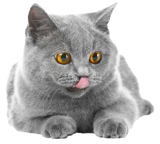 😋 emoji Cats Telegram sticker 12 of 17