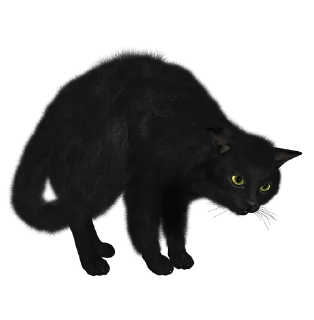 🐈‍⬛️ emoji Cats Telegram sticker 15 of 17