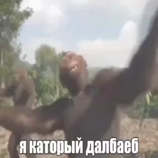 Sticker from рандом от жени @TgEmodziBot