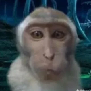😉 emoji Люти пон Telegram sticker 10 of 21