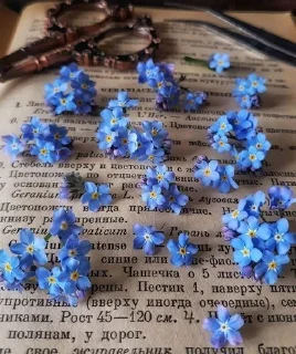 Sticker from Эстетика🦋
