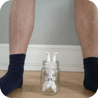 🫙 emoji Белый котек ура Telegram sticker 17 of 44