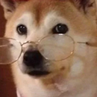 🫢 emoji Для дуже важливих переговорів Telegram sticker 3 of 25