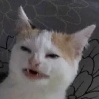 🙁 emoji Для дуже важливих переговорів Telegram sticker 8 of 25