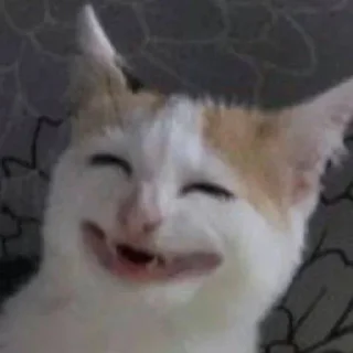 🙂 emoji Для дуже важливих переговорів Telegram sticker 7 of 25