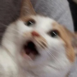 😨 emoji Для дуже важливих переговорів Telegram sticker 6 of 25