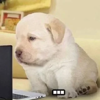 😐 emoji Для дуже важливих переговорів Telegram sticker 1 of 25
