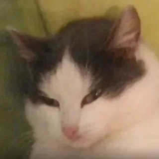 😠 emoji Для дуже важливих переговорів Telegram sticker 5 of 25