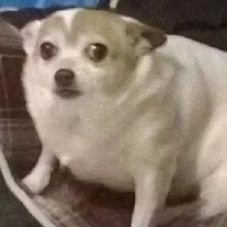 😳 emoji Для дуже важливих переговорів Telegram sticker 4 of 25
