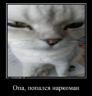 🤨 emoji Уфф😍😍😍 Telegram sticker 14 of 21