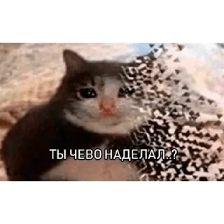 😿 emoji Мемный пак Telegram sticker 8 of 15