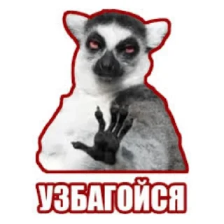 ✋ emoji Мемный пак Telegram sticker 6 of 15