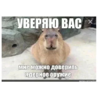 Sticker from Что то с чем то