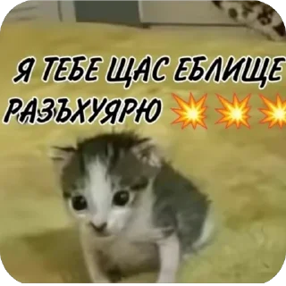 Sticker from ::стик