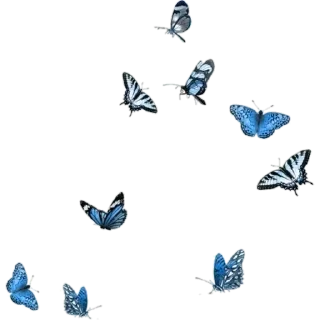 🦋 emoji Люблю, тебя! Telegram sticker 13 of 62