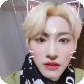 🐱 emoji sᥲᥒsᥣi᧐ᥒ ateez ➡️ @Ctikerubot Telegram sticker 18 of 29