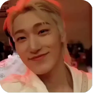 ☺ emoji sᥲᥒsᥣi᧐ᥒ ateez ➡️ @Ctikerubot Telegram sticker 7 of 29