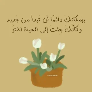 🌱 emoji -🪴🩵 @LightUponLight1 . Telegram sticker 12 of 95