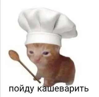 Sticker from важное|редкое