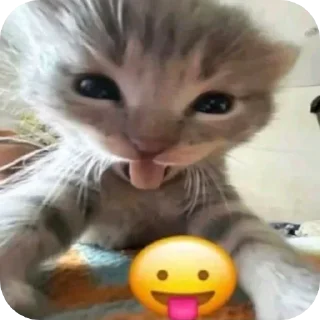 Sticker from тик токэс