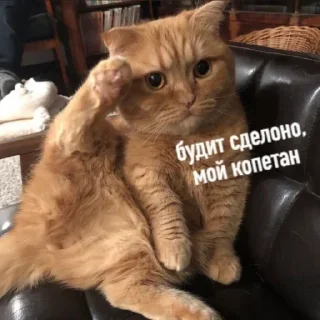 Sticker from Тик ток