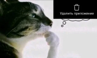 Sticker from тик ток картинки