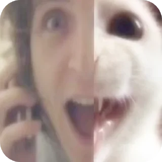 Sticker from Валентин Стрыкало! @Za0bla4niperchik