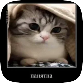 🥰 emoji Комару Telegram sticker 11 of 50