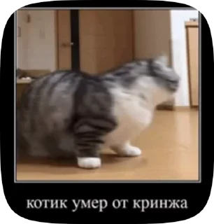 😳 emoji Комару Telegram sticker 23 of 50