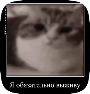 🤝 emoji Комару Telegram sticker 22 of 50