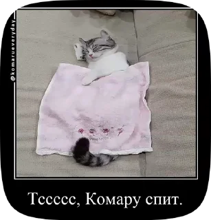 💤 emoji Комару Telegram sticker 6 of 50